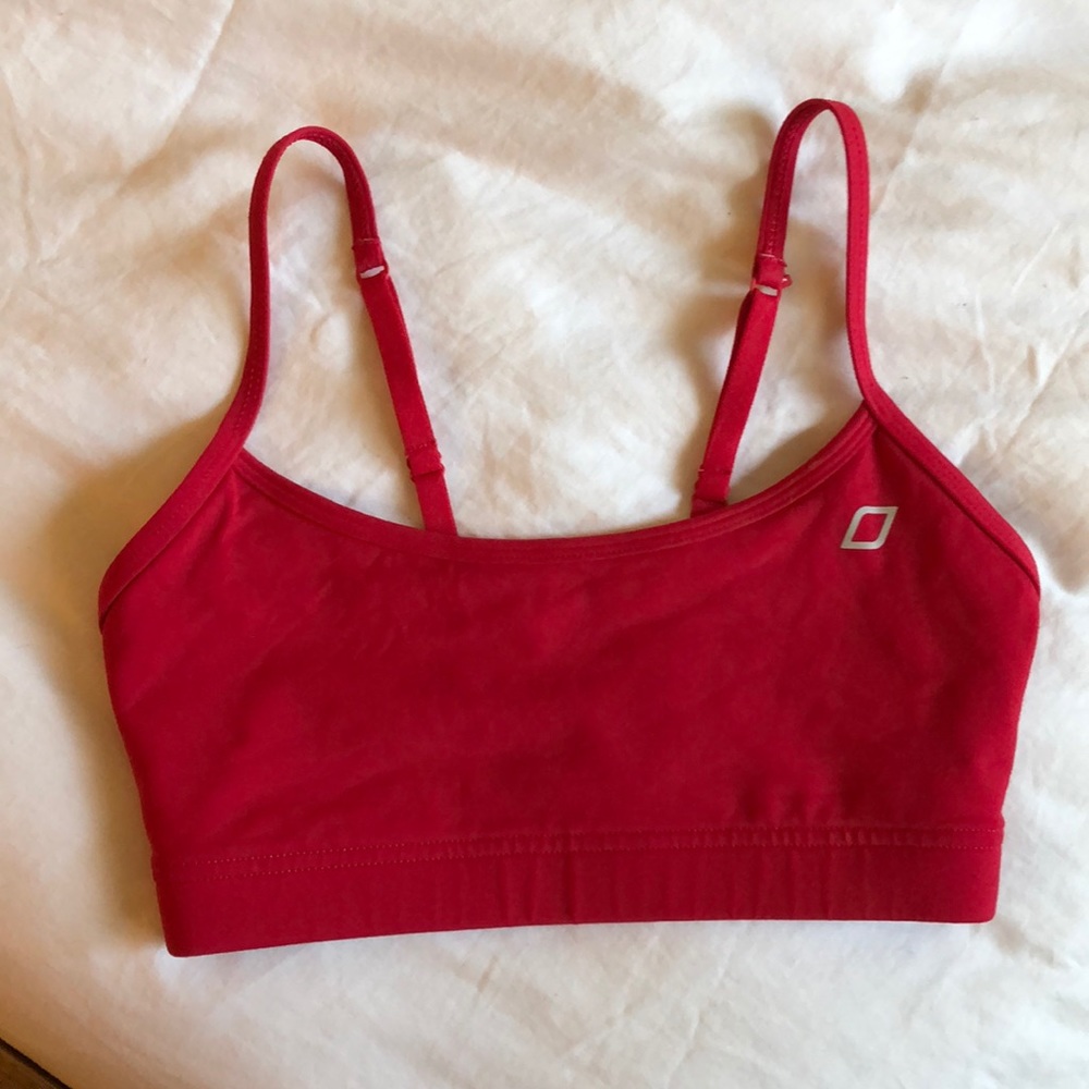 Lorna Jayne sports bra